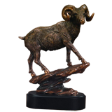 Big Horn Ram Trophy - 11