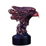 Mean Eagle Head Trophy - 7.5