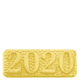 2020 Year Lapel Pin