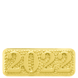 2022 Year Lapel Pin