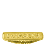 Gold Champions Lapel Pin