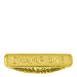 Gold Champions Lapel Pin