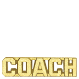 Gold Coach Lapel Pin