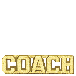 Gold Coach Lapel Pin