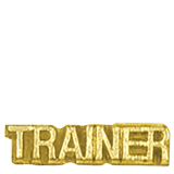 Gold Trainer Lapel Pin