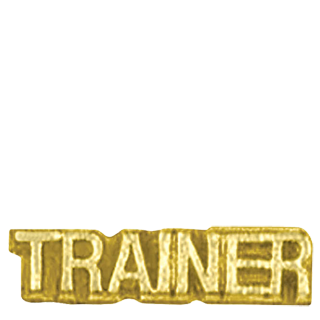 Gold Trainer Lapel Pin