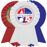 Custom Ribbon Medal 3