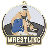 Colorful Wrestling Medal 2