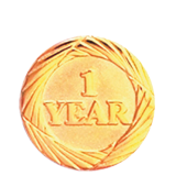 One Year of Service Lapel Pin