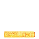 Excellence Lapel Pin