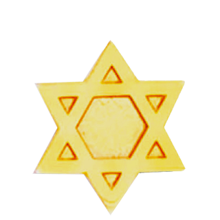 Star of David Lapel Pin