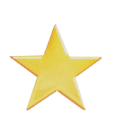 Gold Star Lapel Pin