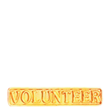 Volunteer Lapel Pin