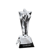 Solid Crystal Star Award